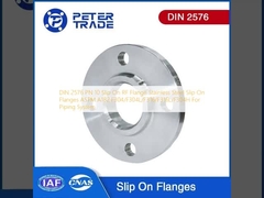 DIN 2576 PN 10 Slip On RF Flange Slip On Flanges ASTM A182 F304/F304L/F316/F316L/F304H Đối với hệ thống đường ống