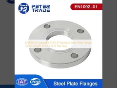 EN1092-01 Tiêu chuẩn TYPE 01 Stainless Steel Plate Flange SS304 SS316L PN 2.5 PLFF Mặt phẳng